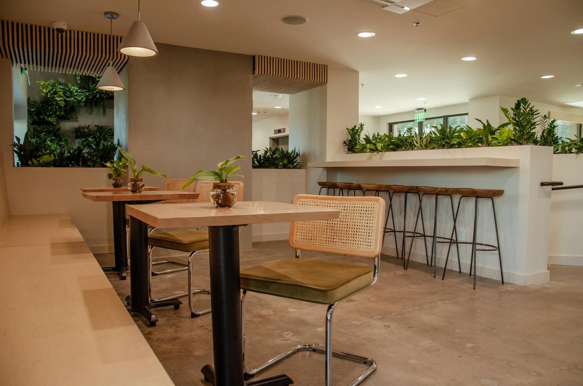 טולסה Brut Hotel מראה חיצוני תמונה